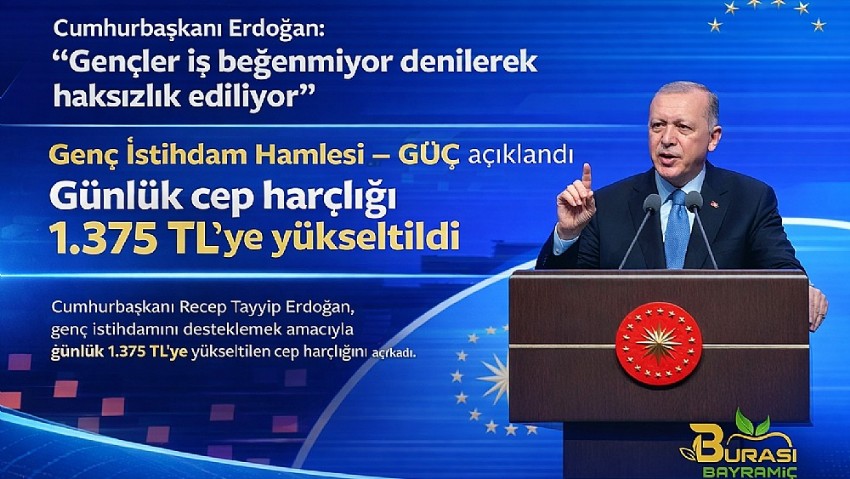 Erdoğan “Gençler iş beğenmiyor deyip haksızlık ediyorlar” dedi, genç istihdam hamlesinin detaylarını açıkladı: Günlük 1375 lira cep harçlığı! 