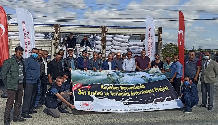 Küçükbaş hayvanlarda süt veriminin ve kalitesinin artırılması projesi hayata geçiyor.