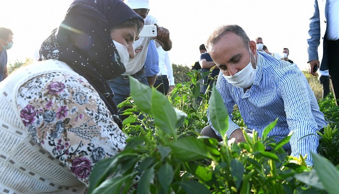 Gübre Fiyatlarında Yüzde 30'a Varan İndirim