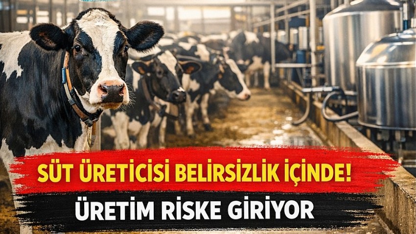 TÜSEDAD: Süt destekleri ve fiyatlar açıklanmalı