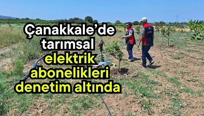 Çanakkale'de tarımsal sulama amacıyla kullanılan elektrik aboneliklerine yönelik denetimler başlatıldı.