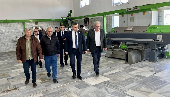 Kutluoba Köyü Muhtarlığı, Zeytin Sezonunun Açılmasıyla Lokma Hayrı Düzenledi