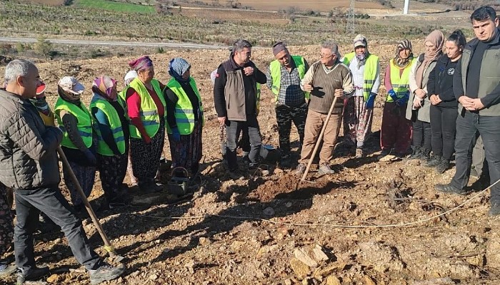 Bayramiç Orman İşletme Müdürlüğümüz 2024 Ağaçlandırma iş Başı Eğitimine Başladı.