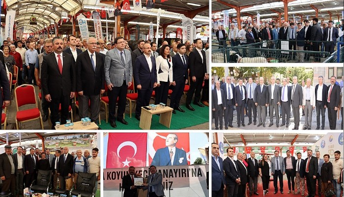 Chp'li Erkek: