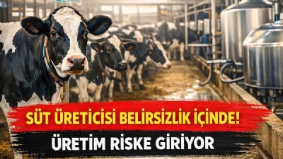 TÜSEDAD: Süt destekleri ve fiyatlar açıklanmalı