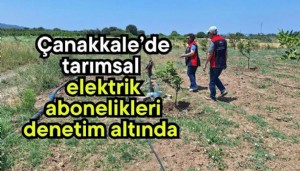 Çanakkale'de tarımsal sulama amacıyla kullanılan elektrik aboneliklerine 