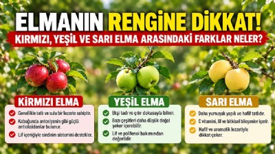 ELMANIN RENGİNE DİKKAT! KIRMIZI, YEŞİL VE SARI ELMA ARASINDAKİ FARKLAR NELER?